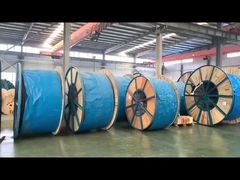 Καλώδιο ελέγχου