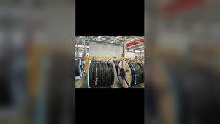 Εναέρια αναγνώριση πυρήνα καλωδίου δέσμης μέσω νευρώσεων και φιγούρα εκτύπωσης λέιζερ