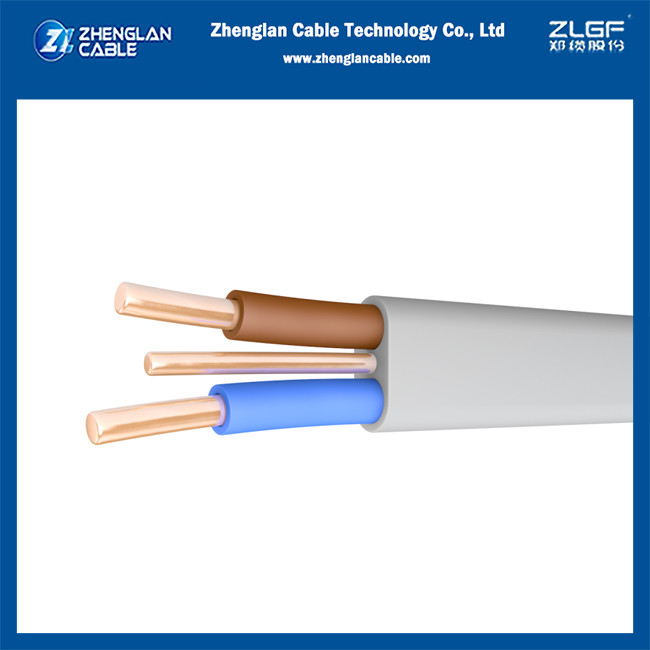 Πώς μπορούμε να χρησιμοποιήσουμε την Twin&Earth Cable;